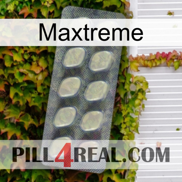 Maxtreme 08.jpg